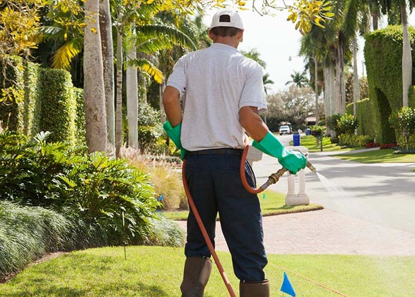About Cobleskill NY Pest Control